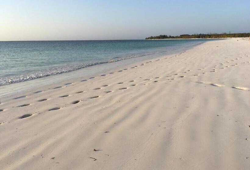 بنسيون Barefoot Zanzibar