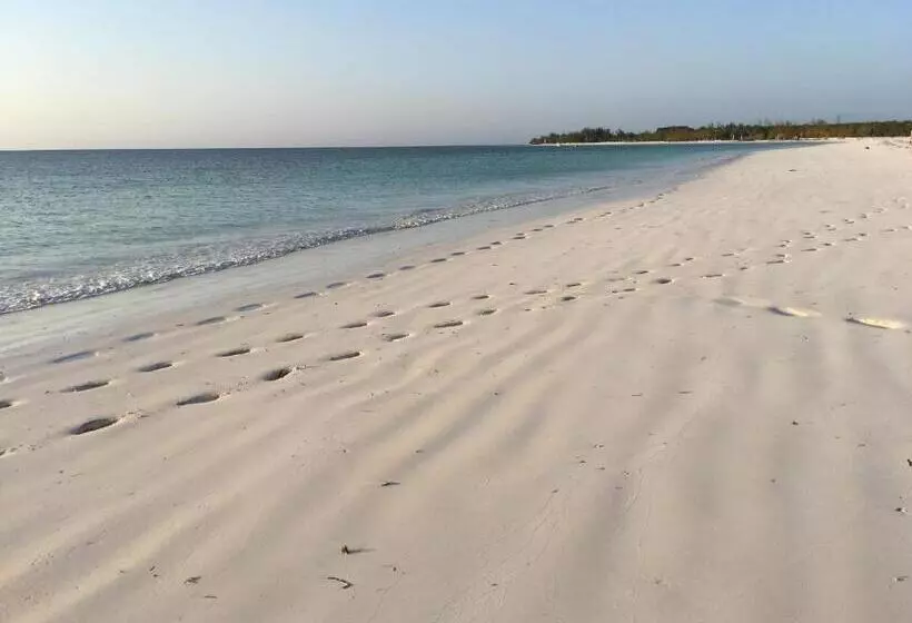 ペンション Barefoot Zanzibar