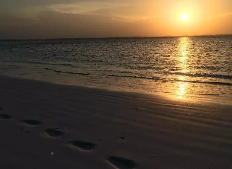 ペンション Barefoot Zanzibar