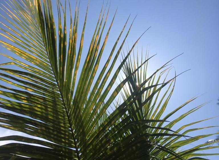 بنسيون Barefoot Zanzibar