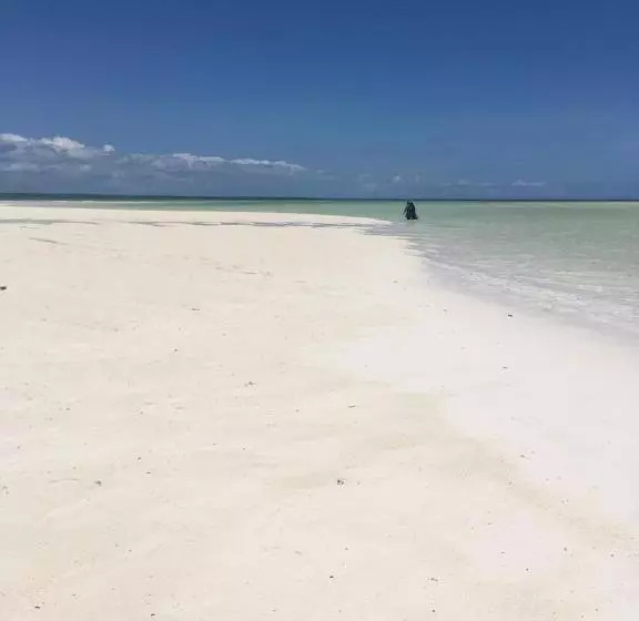 ペンション Barefoot Zanzibar