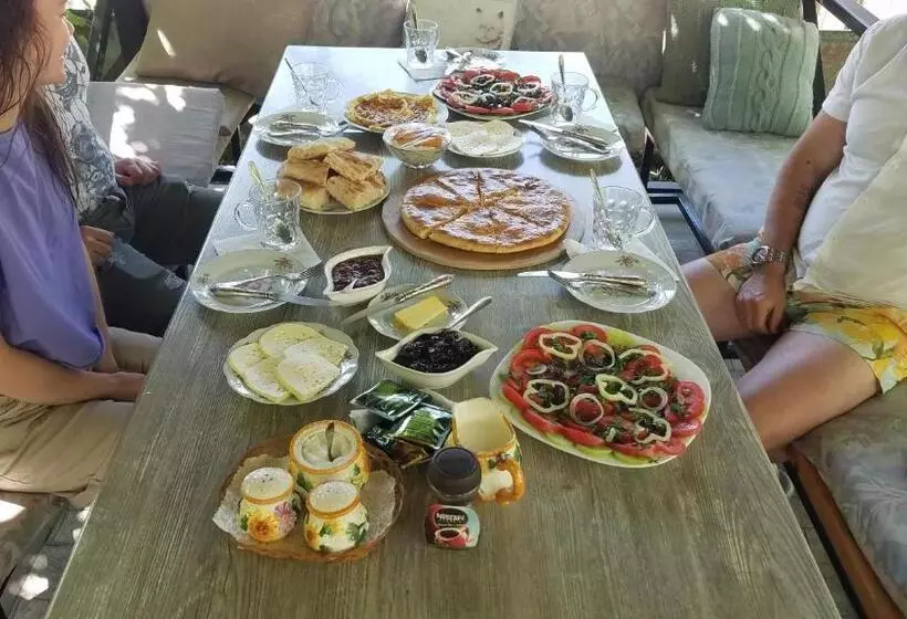 پانسیون Guest House Green Rose