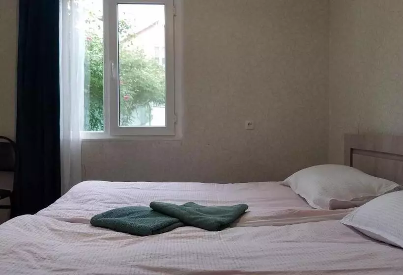 پانسیون Guest House Green Rose