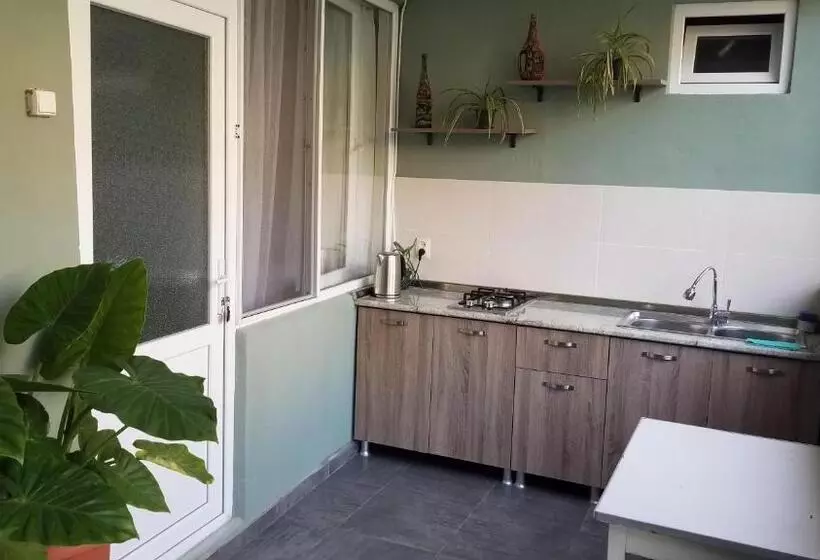 پانسیون Guest House Green Rose