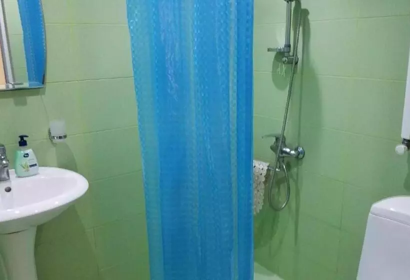 پانسیون Guest House Green Rose