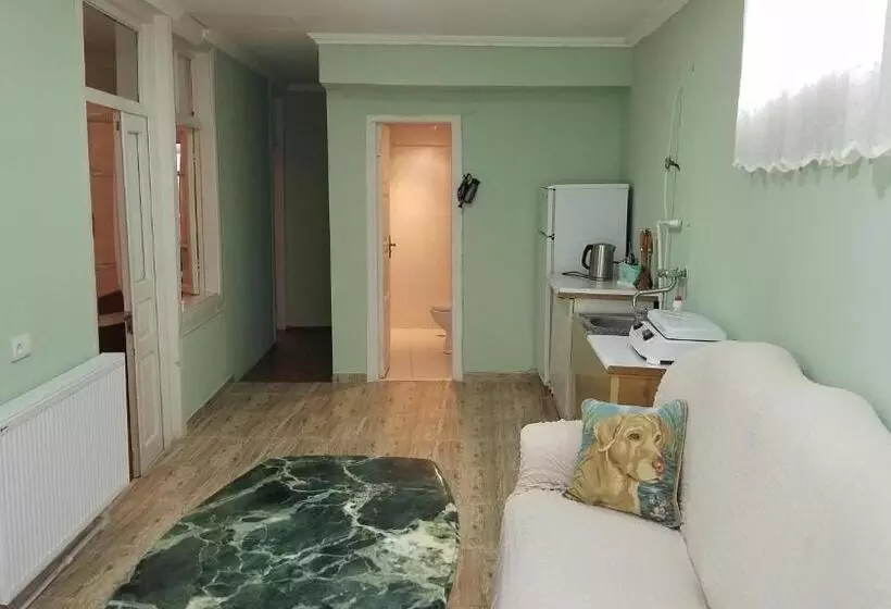 پانسیون Guest House Green Rose