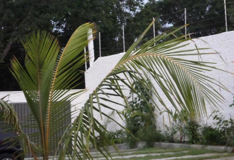 Pension Chalés Pipa