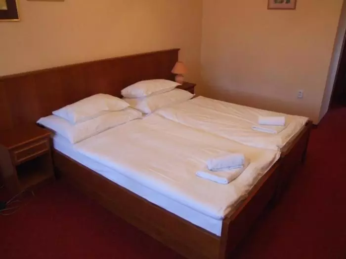 Majatalo Penzion 77   Garni