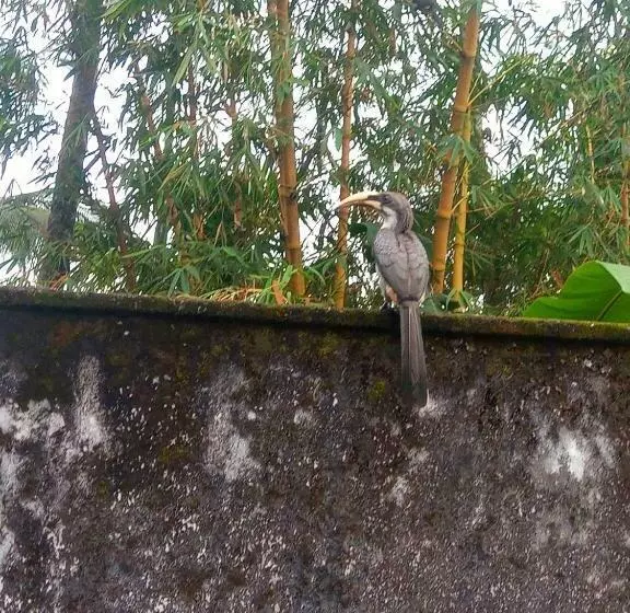 Majatalo Rathna Gems Halt