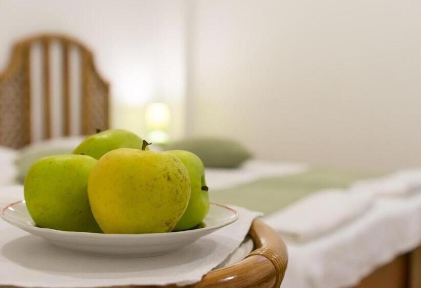 פנסיון Vila Elena