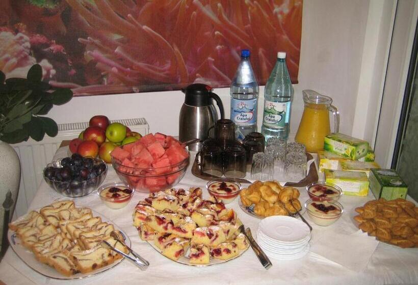 פנסיון Vila Elena