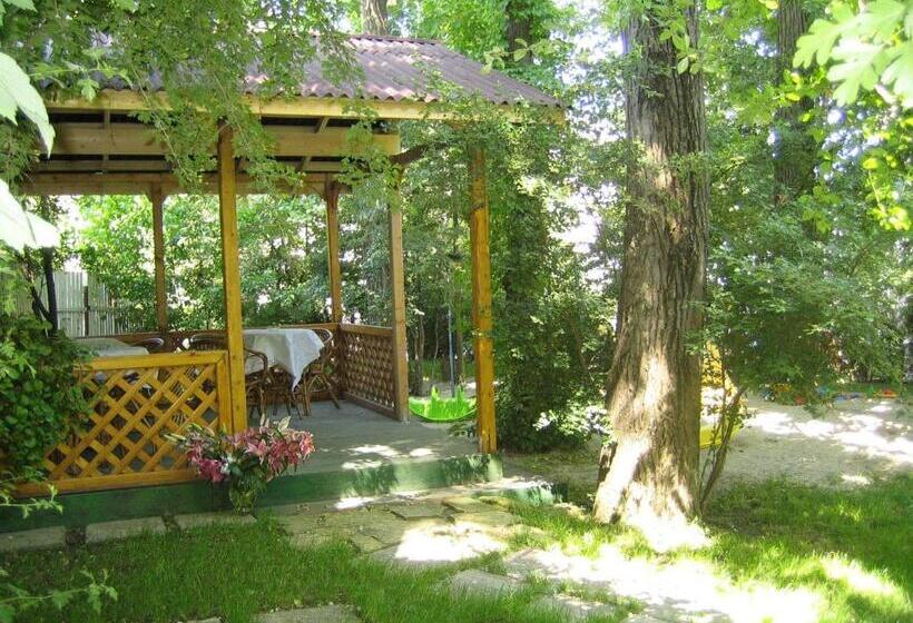 פנסיון Vila Elena