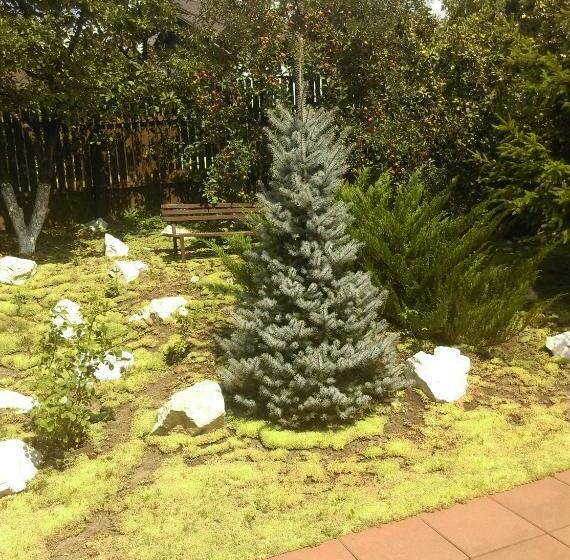 پانسیون Vila Paula & Spa All Inclusive