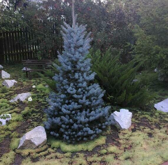 پانسیون Vila Paula & Spa All Inclusive