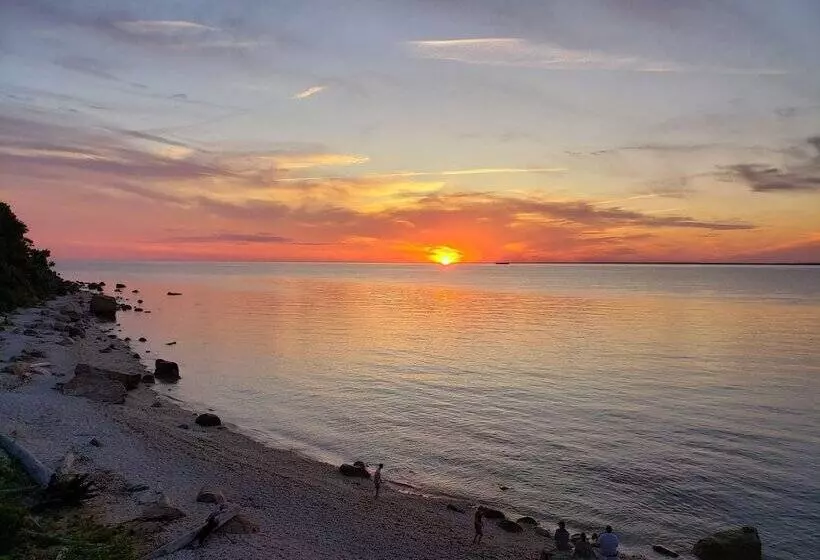 Arbor View House Bed And Breakfast