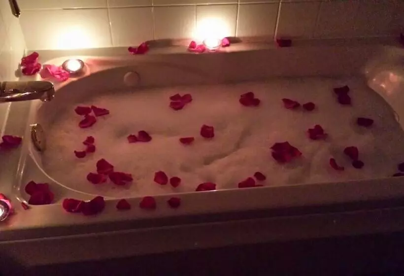 Arbor View House Bed And Breakfast