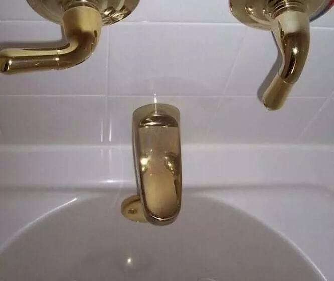 Arbor View House Bed And Breakfast