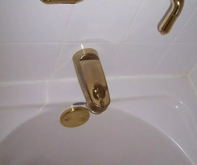 Arbor View House Bed And Breakfast