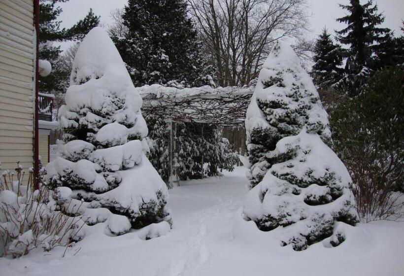 Arbor View House Bed And Breakfast