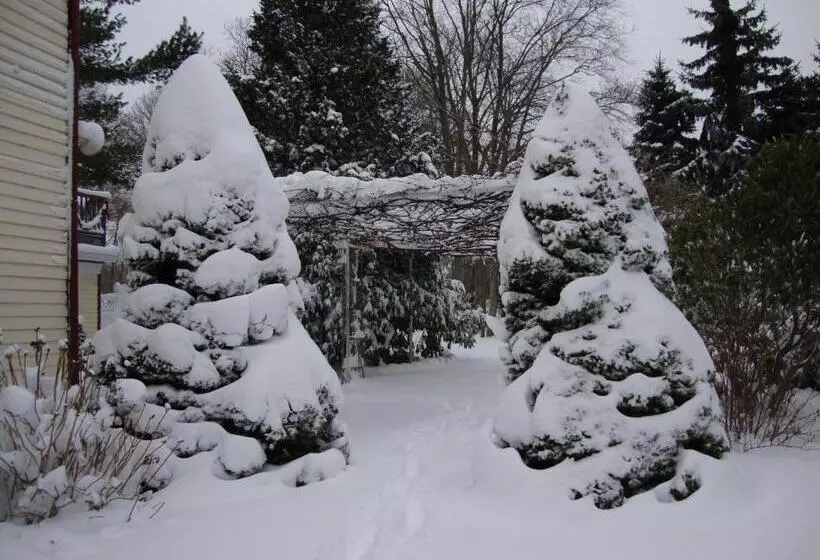 Arbor View House Bed And Breakfast