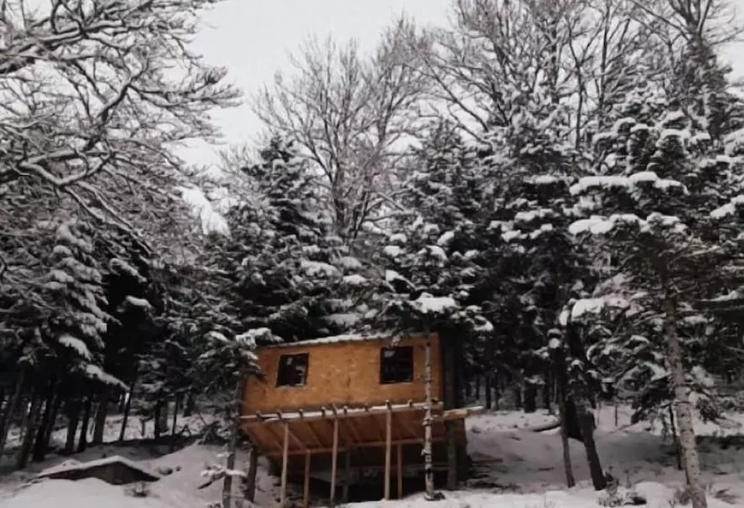 ホテル La Cabane Dans Les Arbres
