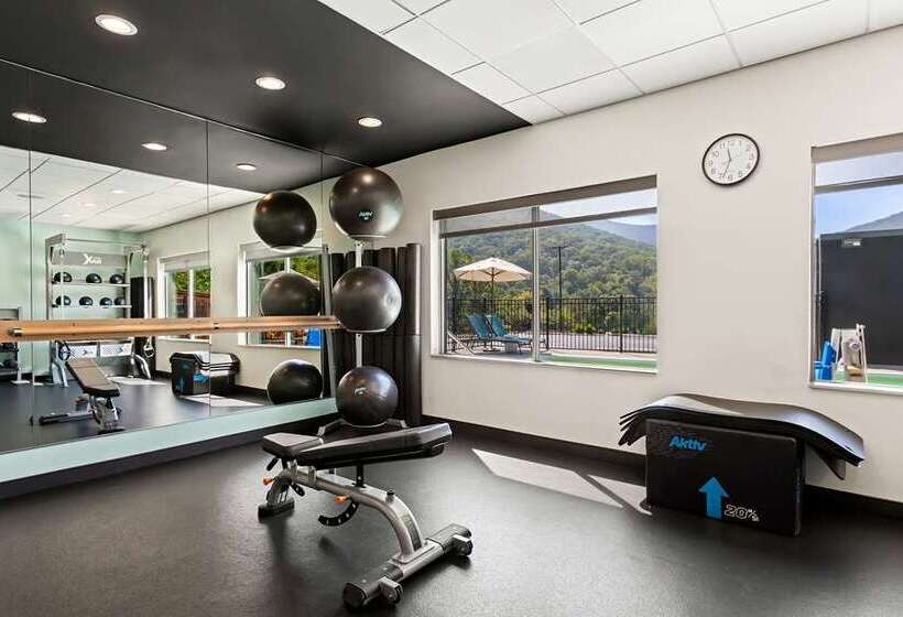 Hotel Tru By Hilton Asheville Blue Ridge Parkway