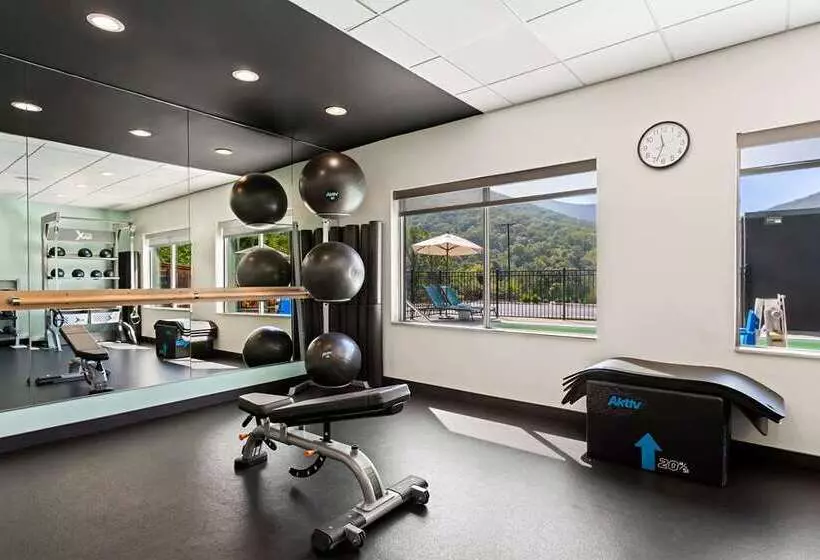 ホテル Tru By Hilton Asheville Blue Ridge Parkway