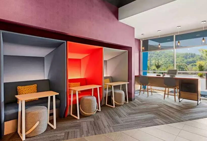 ホテル Tru By Hilton Asheville Blue Ridge Parkway