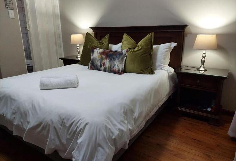 פנסיון Aloes Guest House 62 On Meintjies