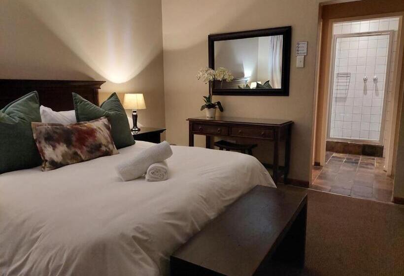 פנסיון Aloes Guest House 62 On Meintjies