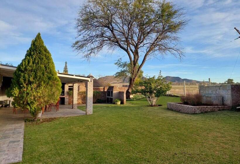 פנסיון Aloes Guest House 62 On Meintjies