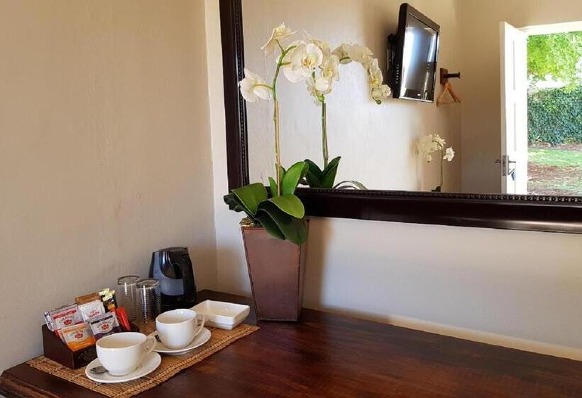 פנסיון Aloes Guest House 62 On Meintjies