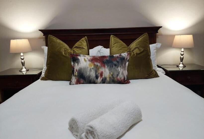 פנסיון Aloes Guest House 62 On Meintjies