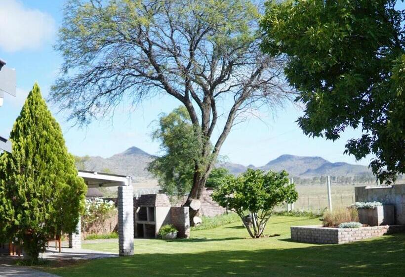 פנסיון Aloes Guest House 62 On Meintjies