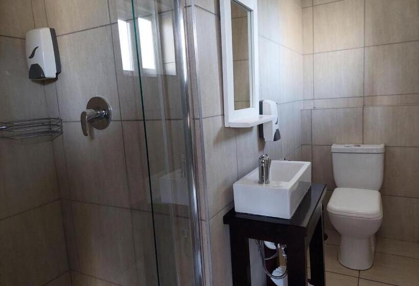 פנסיון Aloes Guest House 62 On Meintjies