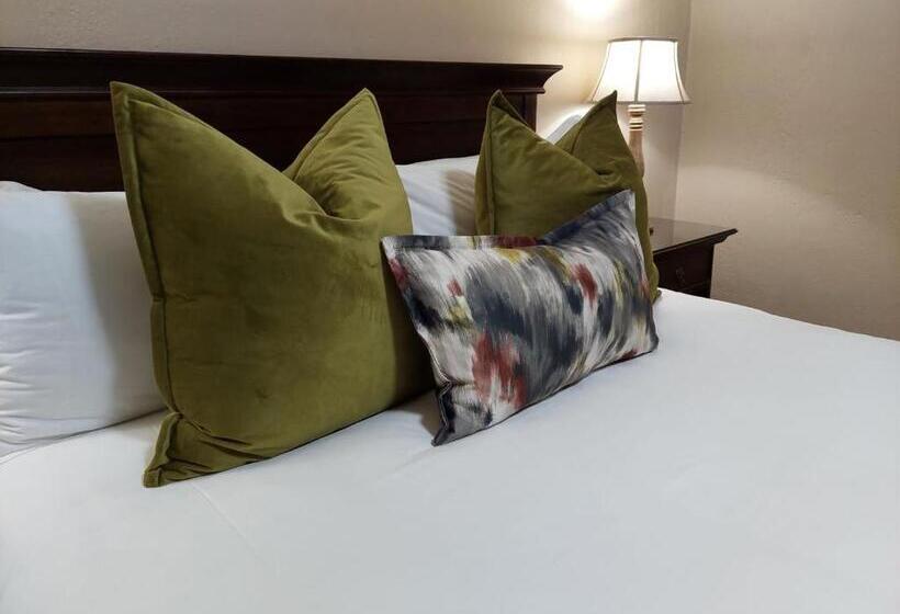 פנסיון Aloes Guest House 62 On Meintjies