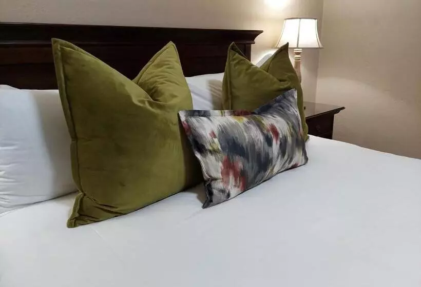 Majatalo Aloes Guest House 62 On Meintjies