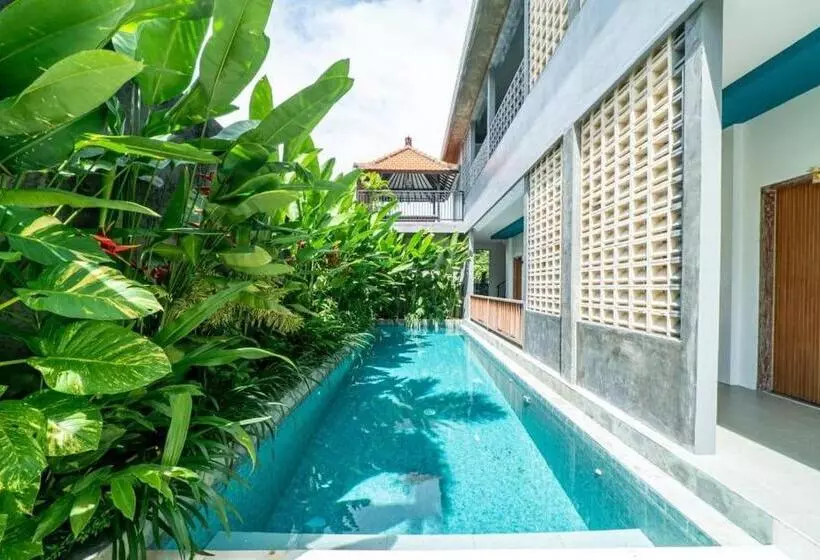 پانسیون Euforia Guest House