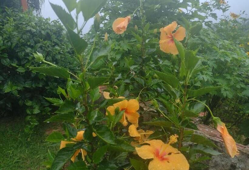 پانسیون Pousada Cantinho Do Dodó