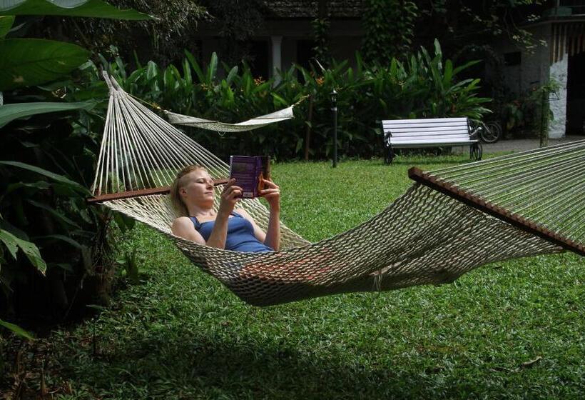 ペンション Vanilla County Heritage Plantation Bungalow