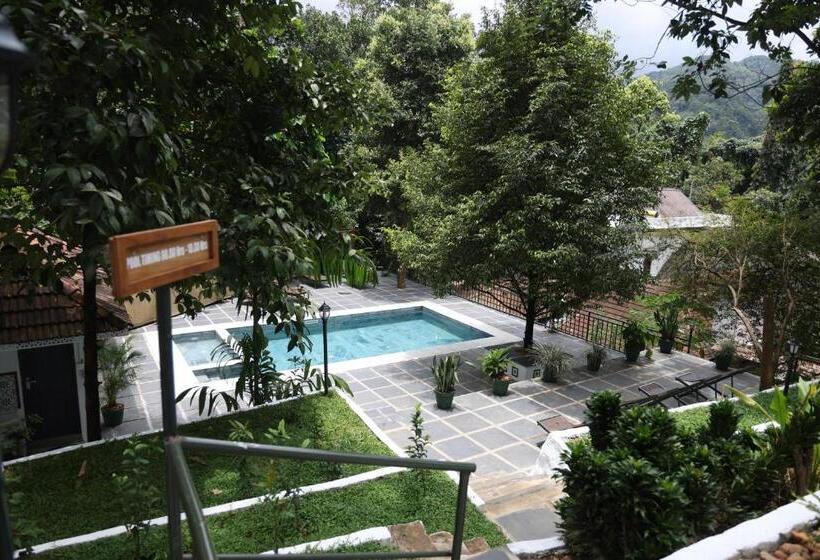 ペンション Vanilla County Heritage Plantation Bungalow