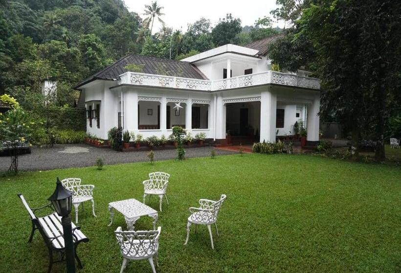 ペンション Vanilla County Heritage Plantation Bungalow