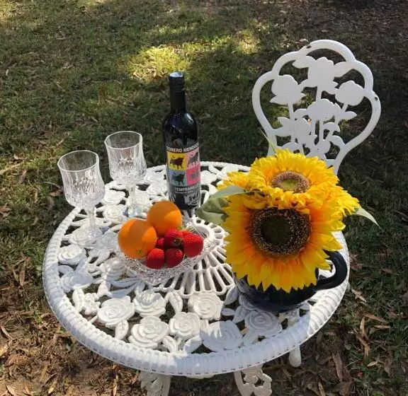 Aamiaismajoitus (B&B) The Steamboat Inn