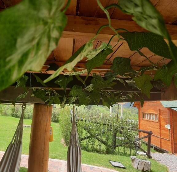 膳宿费 La Sarita, Hospedaje Rural