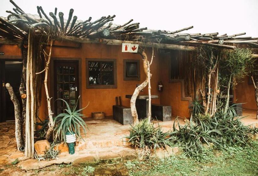 ユースホステル Amphitheatre Backpackers Lodge