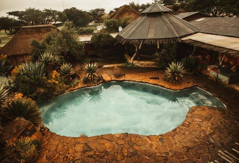 ユースホステル Amphitheatre Backpackers Lodge