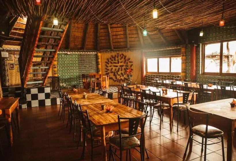 Retkeilymaja Amphitheatre Backpackers Lodge