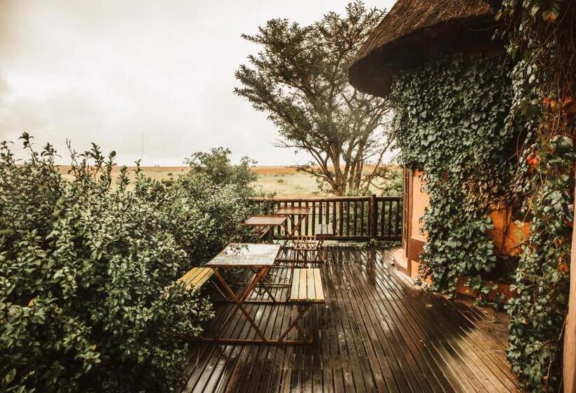 ユースホステル Amphitheatre Backpackers Lodge