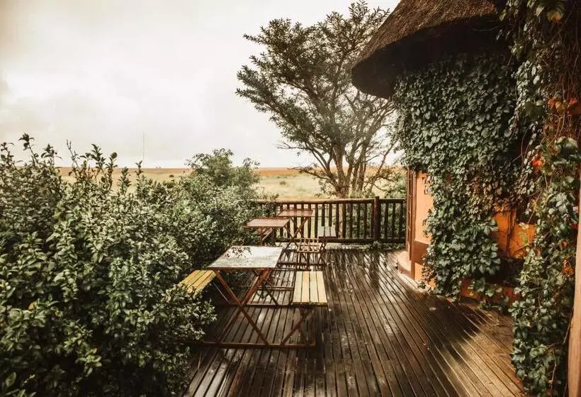 Retkeilymaja Amphitheatre Backpackers Lodge