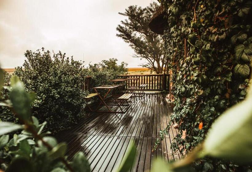 ユースホステル Amphitheatre Backpackers Lodge